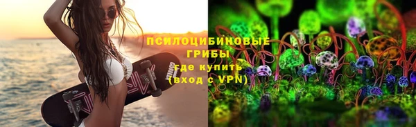 сатива Кукмор