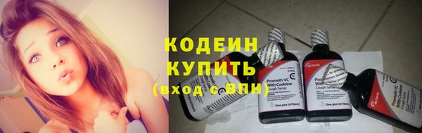 сатива Кукмор