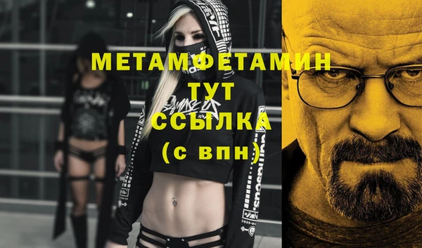 сатива Кукмор